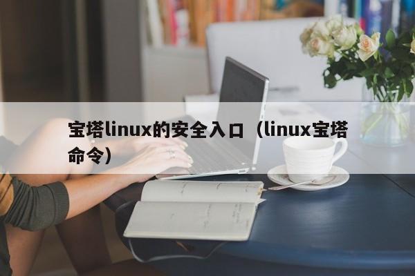 宝塔linux的安全入口（linux宝塔命令）